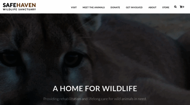 safehavenwildlife.com