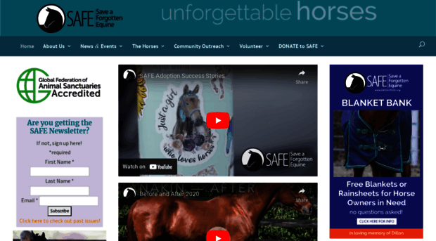 safehorses.org