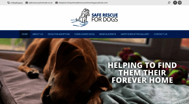 saferescuefordogs.co.uk