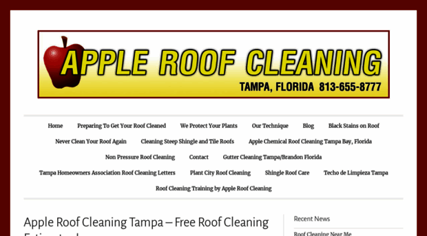 saferoofcleaning.com