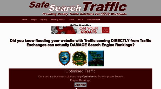 safesearchtraffic.biz