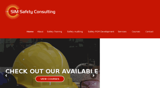 safety-in-motion-consulting.com