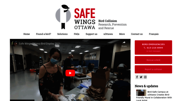 safewings.ca