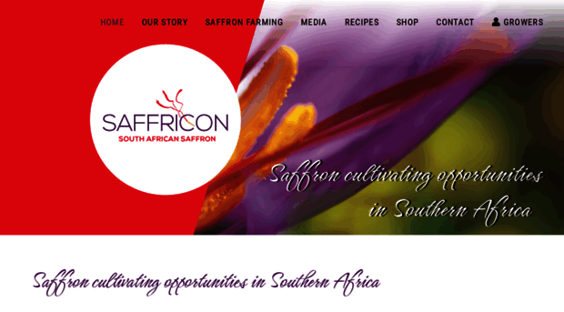 saffricon.co.za