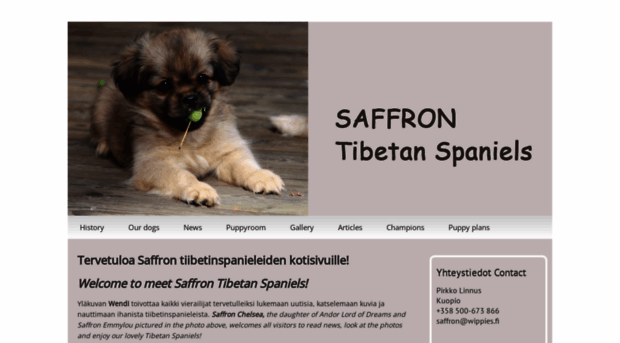 saffron.fi