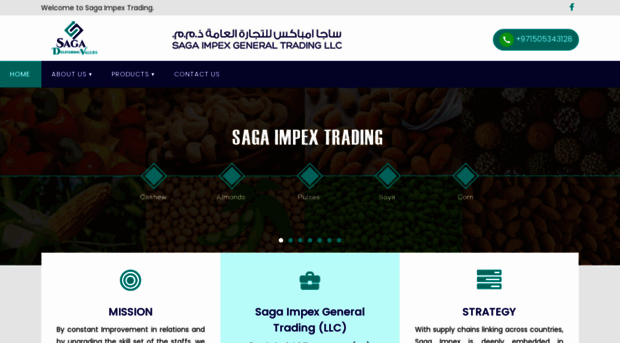 saga-impex.com