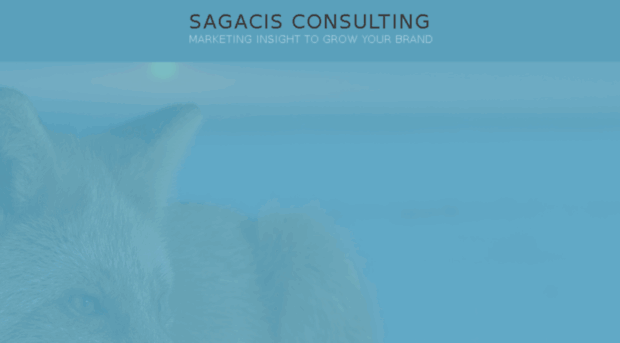 sagacisconsulting.com