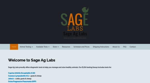 sageaglab.com