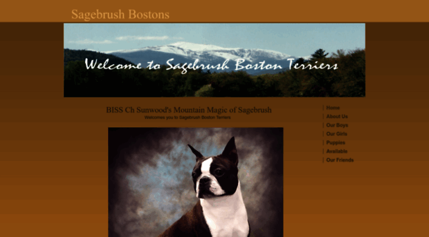 sagebrushbostons.com