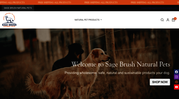 sagebrushgundogs.com