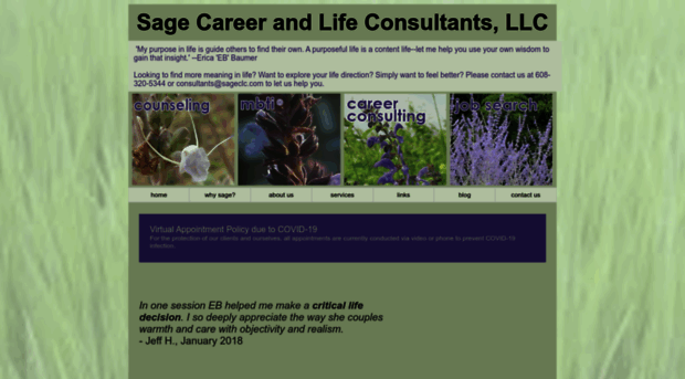 sagecareerandlifeconsultants.com