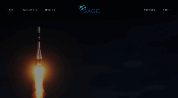 sageservicesgroupllc.com