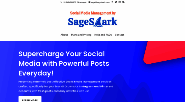 sageshark.com