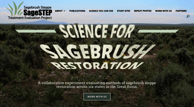 sagestep.org