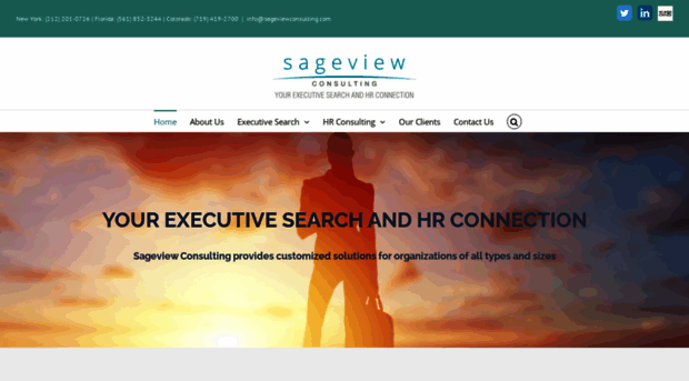 sageviewconsulting.com