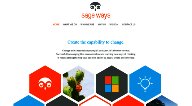 sagewaysconsulting.com