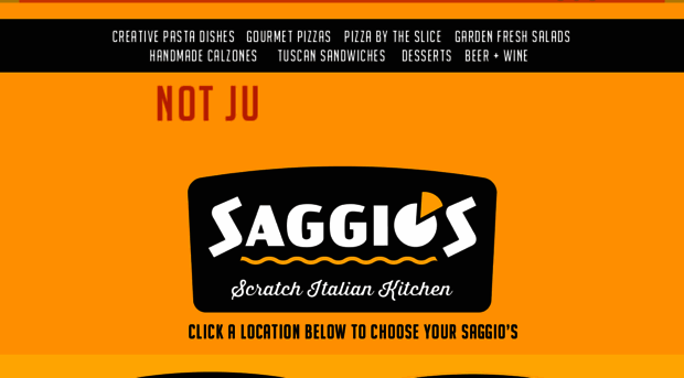 saggios.com