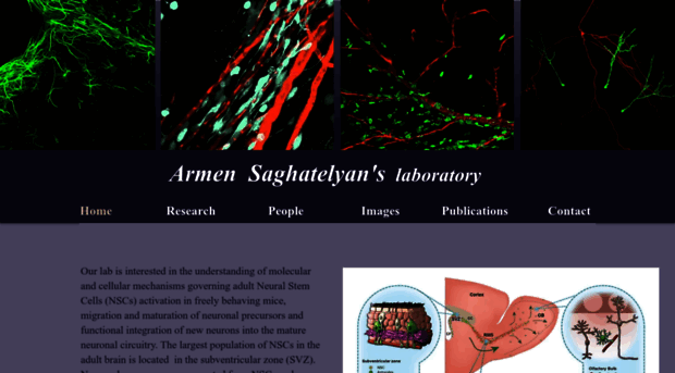 saghatelyanlab.com