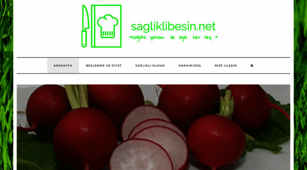 sagliklibesin.net