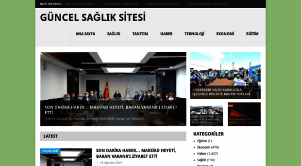 sagliklistesi.com