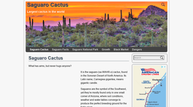 saguarocactus.net