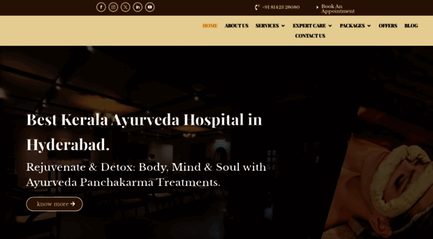 saiayushayurveda.com