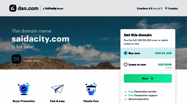 saidacity.com