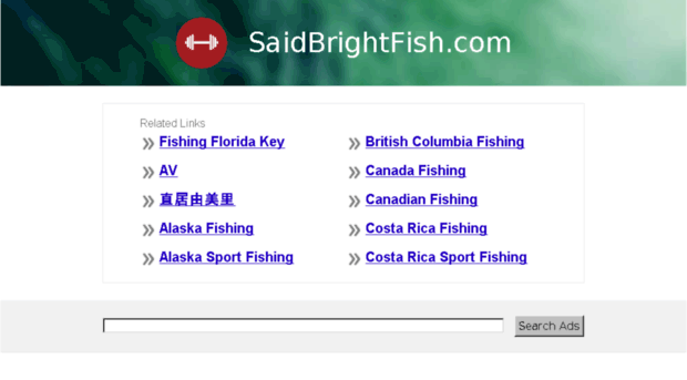 saidb44.saidbrightfish.com