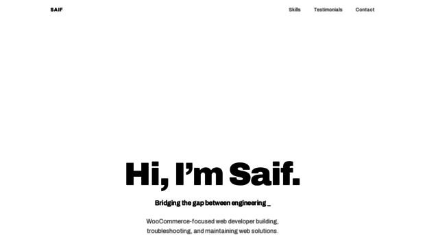 saif-hassan.com