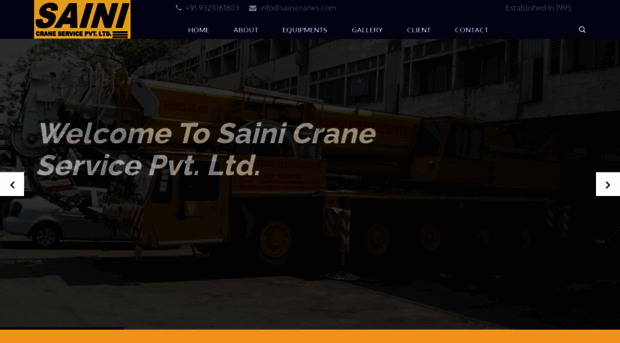 sainicranes.com