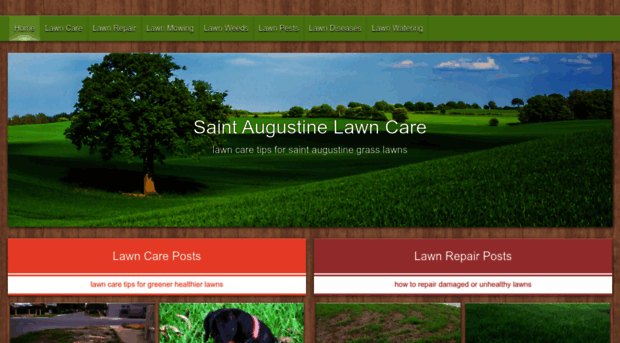 saintaugustinelawncare.com