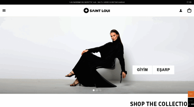 saintloui.com