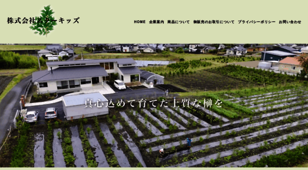 sakaki-web.com