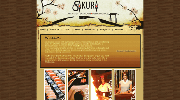 sakuratoledo.com