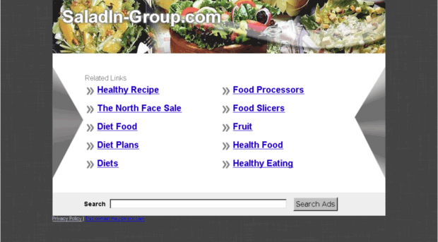 saladin-group.com