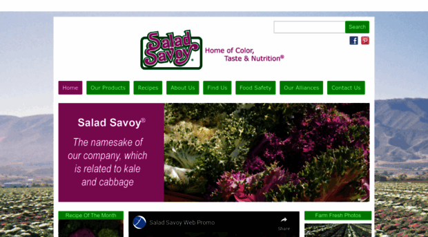 saladsavoy.com