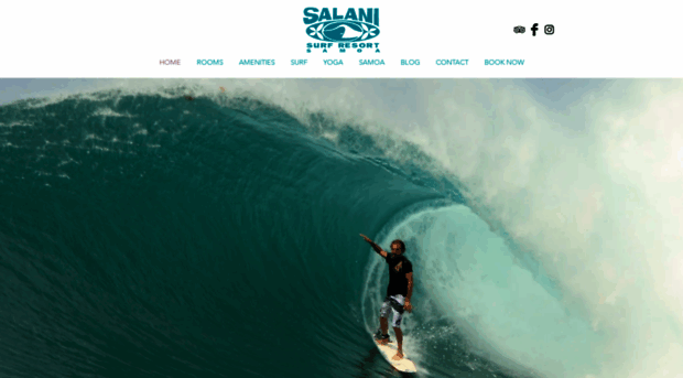 salanisurf.com