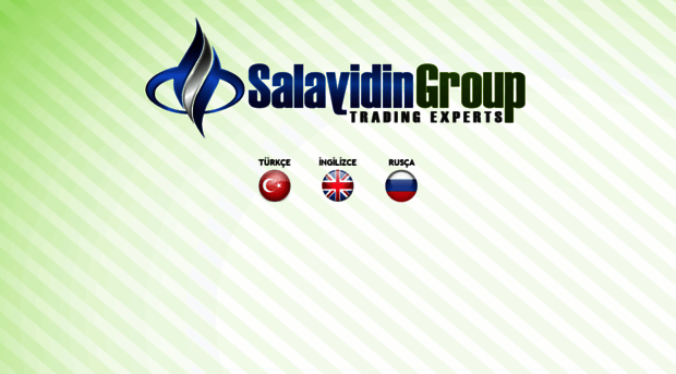 salayidin.com