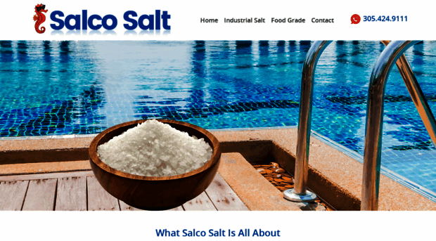 salcosalt.com