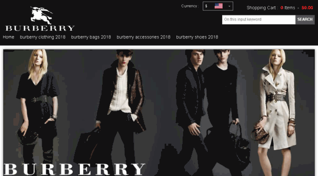 saleburberry2018.com