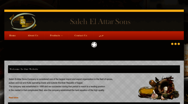 salehelattar.com