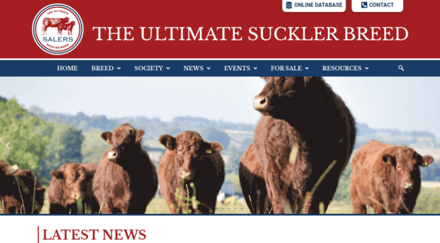 salers-cattle-society.co.uk