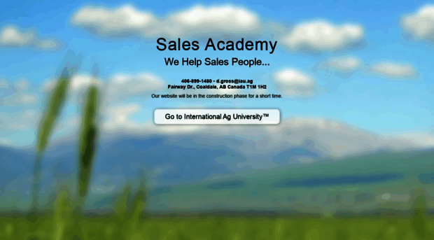 sales-academy.com