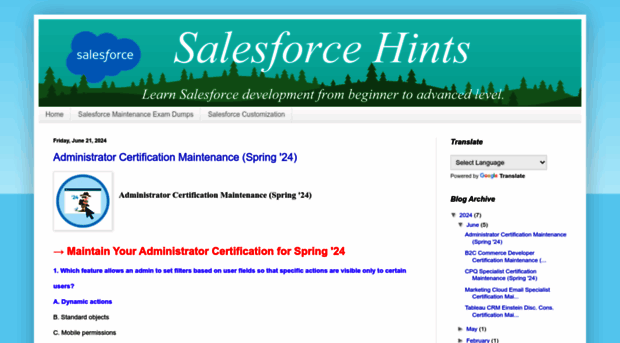 salesforcehints.blogspot.com