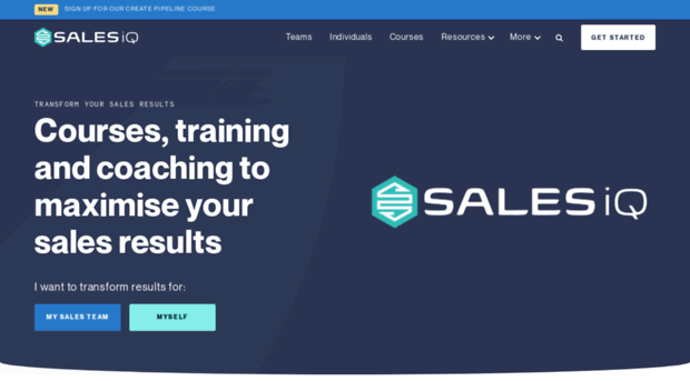 salesiqglobal.com