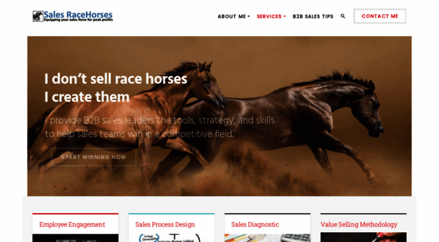 salesracehorses.com