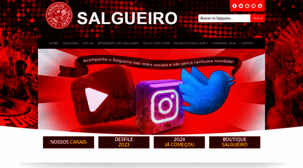 salgueiro.com.br