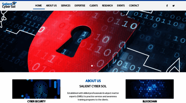 salientcybersol.com