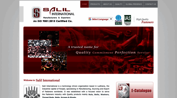 salilinternational.com