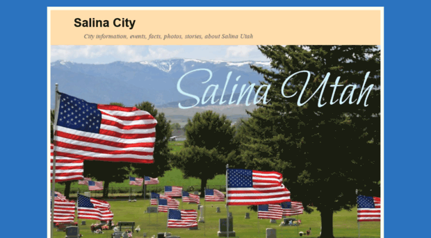 salinacity.org